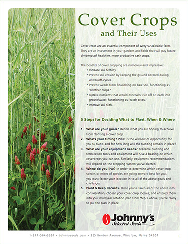 Cover Crops & Their Uses