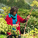 Flower Harvesting & Post-Harvest Care