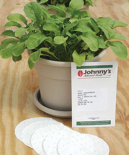 Arugula disk in its pot at maturity, with seed packet and disks.
