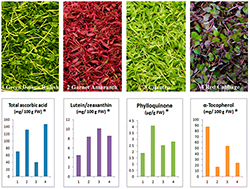 Microgreen Growing Chart