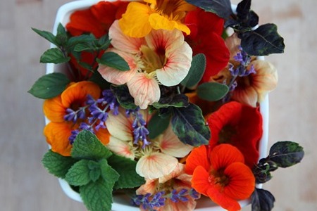 A mixture of edible flowers in an open container