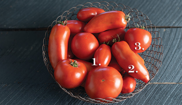 3 Improved Tomatoes from Our Open-Pollinated Project: Blue Beech, San Marzano, and Wisconsin 55