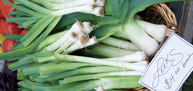 Learn to succession-harvest leeks across the seasons.