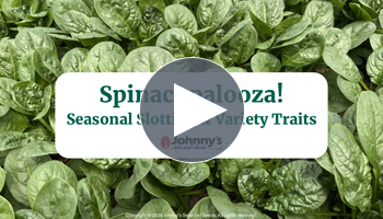 View Our Full Webinar Video