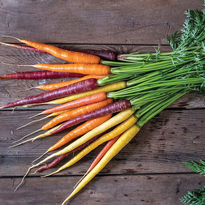 Bunch of colorful carrots