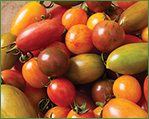 Artisan Tomatoes