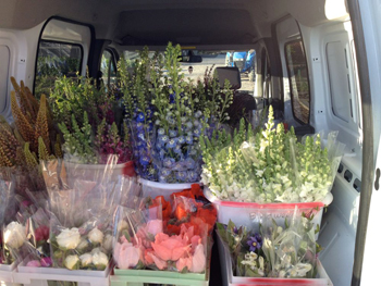 Everything on my truck looks alive and fresh - Jeriann of Deadhead Cut Flowers.
