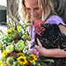 Getting Started in Cut Flowers