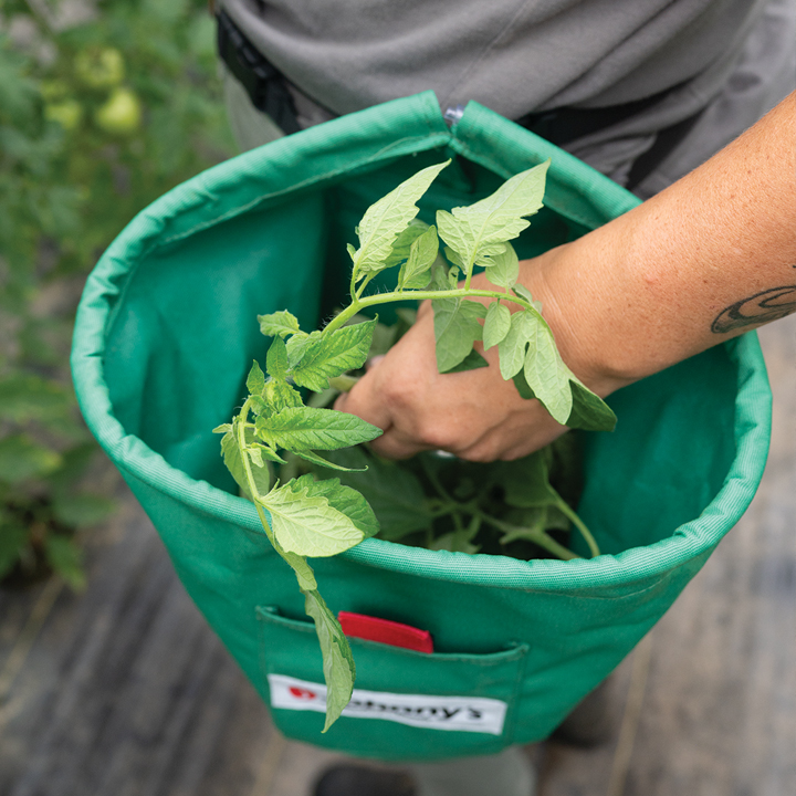 a harvest bag