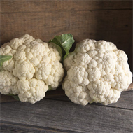 Mardi Organic Cauliflower
