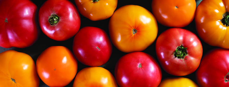 Hot peppers of various sizes and colors