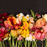 Shop Flowers by Color