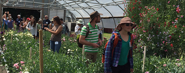 Student Organic Seed Symposium Tours Johnny's Flower Trials