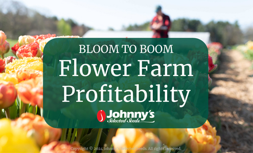 Bloom to Boom: Flower Farm Profitability: Webinar