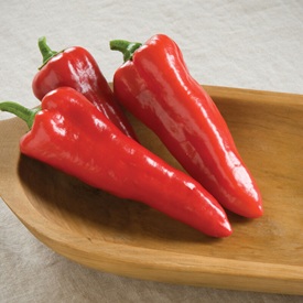 Carmen (F1) Corno di Toro Pepper Seed