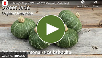 View Our Top-10 New ORGANIC Selections Video