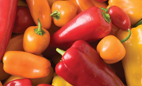 Peppers: Mostly Sweet with a Touch of Heat