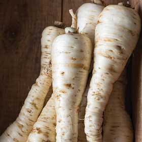 How to Grow Parsnip