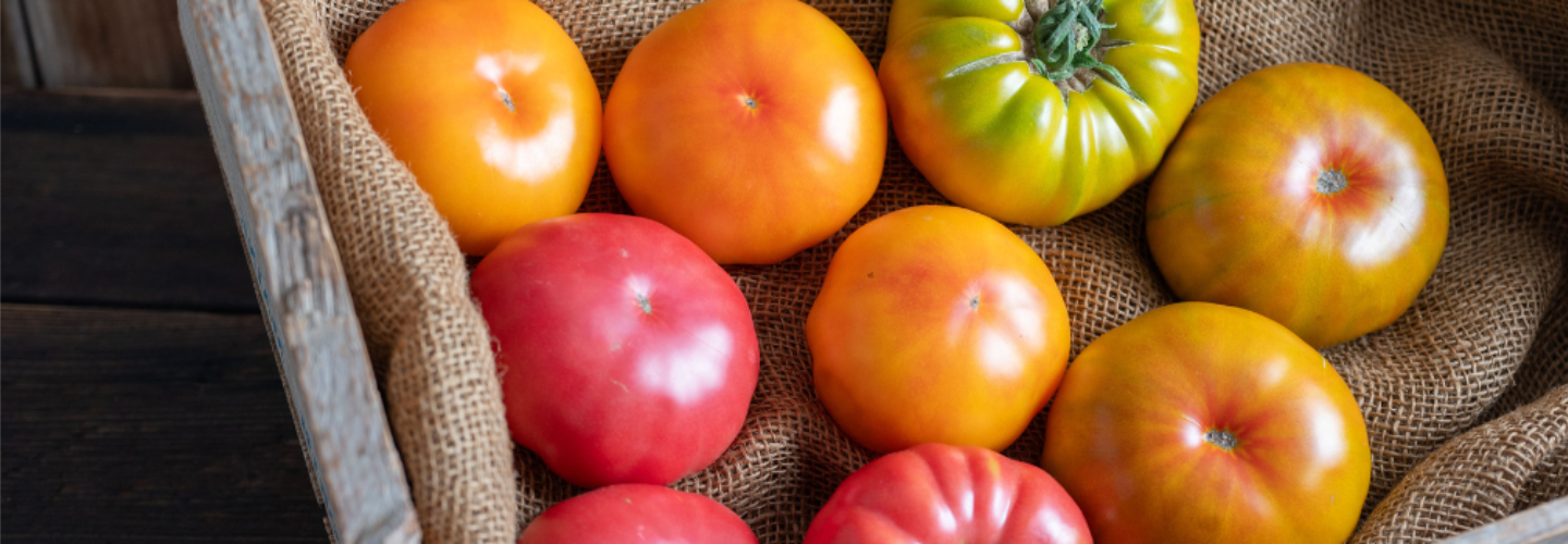 Register for our webinar