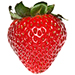 Albion Strawberry Harvest Program