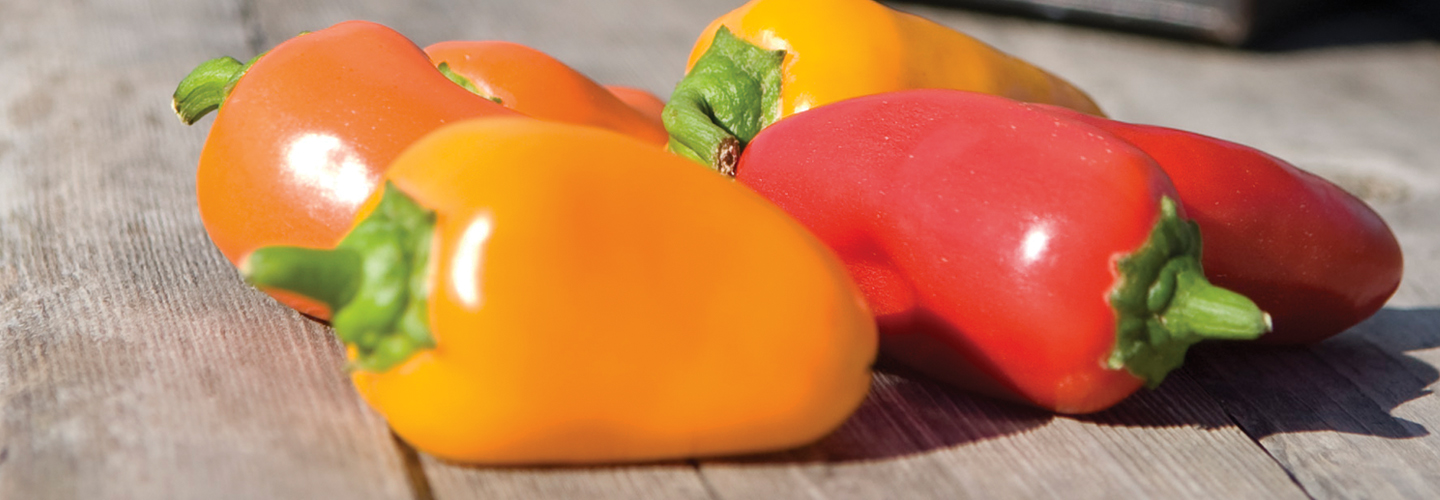 closeup of yellow and red peppers
