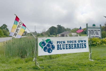blueberry u-pick sign at the Early Farm and Nursery