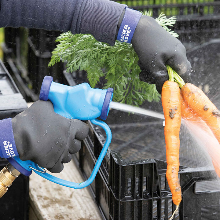 Gloved hands washing carrots with hose