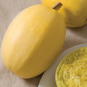 How to Grow Spaghetti Squash