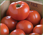 Beefsteak Tomatoes