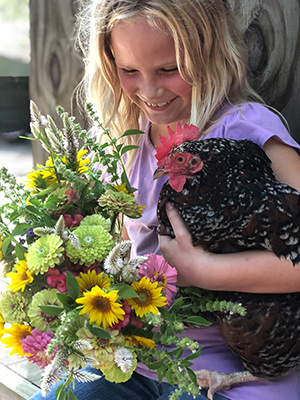 Cut Flowers for Farm Production: Strawflower “Raspberry Rose”