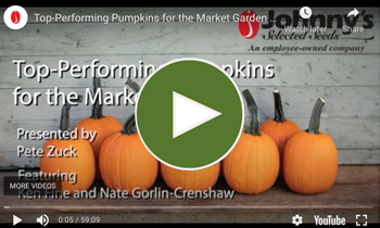 View Our Full Top-Performing Pumpkins Webinar Video