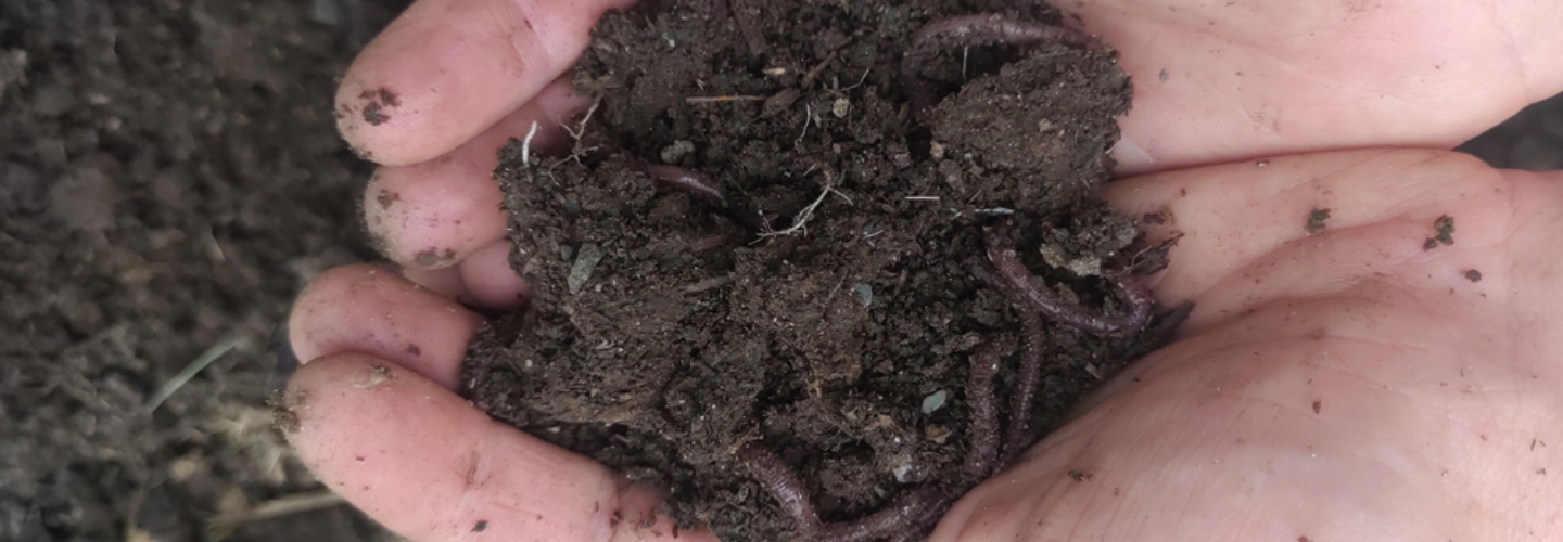 Watch the soil health webinar
