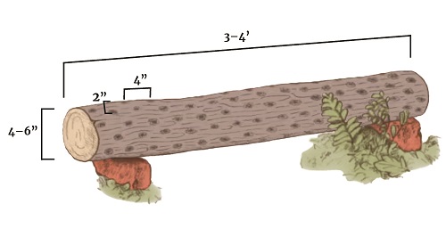 hole pattern for log inoculation