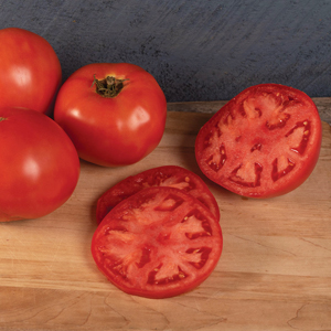 Galahad Tomato