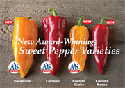 AAS Winners - Corno di Toro Peppers