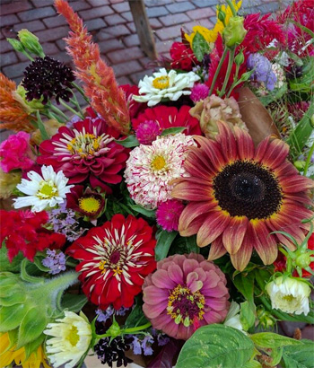 Building a Better Market Bouquet for Flower Farmers