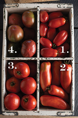 Box of 4 OP tomato heritage varieties from Johnny's.