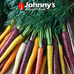 Preview & Download our Digital Catalogs