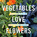 Introduction to Companion Planting for Vegetable & Herb Gardeners