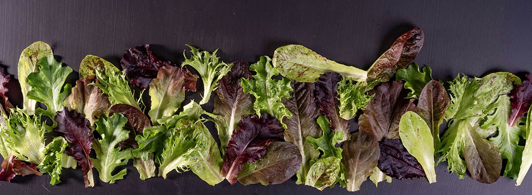 Baby Leaf Greens: 12 Picks for Market Growers Webinar