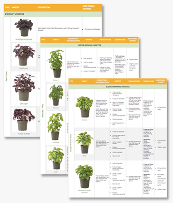 Use our comparison chart to choose basil varieties for container/hydroponic production.