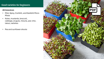 Microgreens Production Fundamentals Webinar Slide Deck PDF