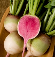 Red Meat / Watermelon Radish