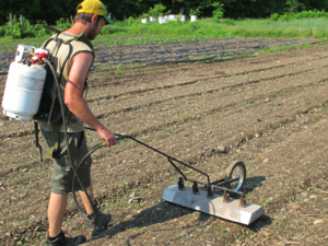 Flame-Weeding the Carrot Bed