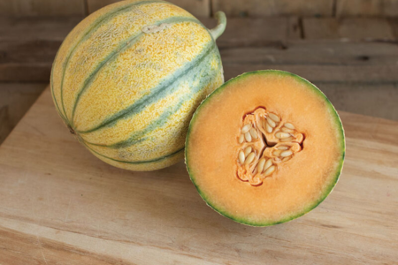 cantaloupe varieties