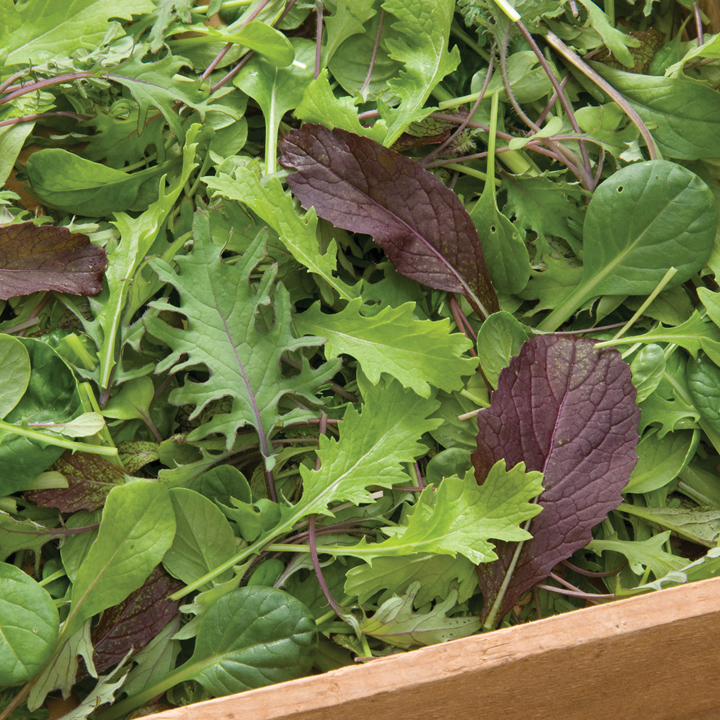 mixed greens leaves