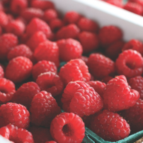 Raspberry Planting Program