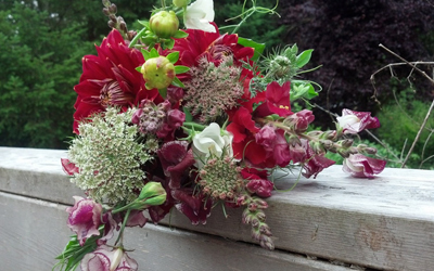 Ammi & Daucus arrangement by Erin McMullen