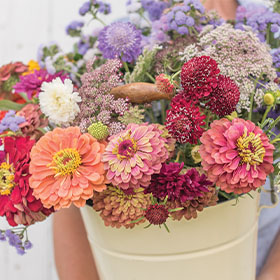 sets and collections