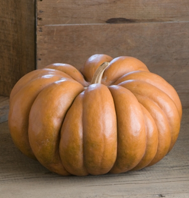 Musque de Provence Pumpkin